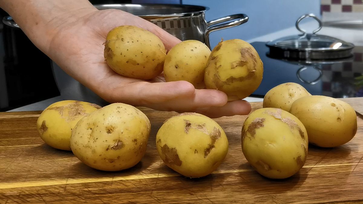 ������� ��������: ��� ������������ ������� ������������ ����