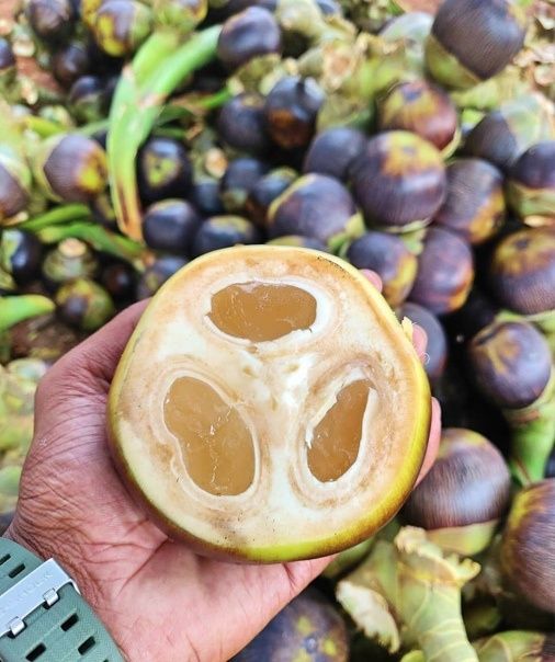 ������������ ����� �����: ����������� ���� � ��������� �������� �������