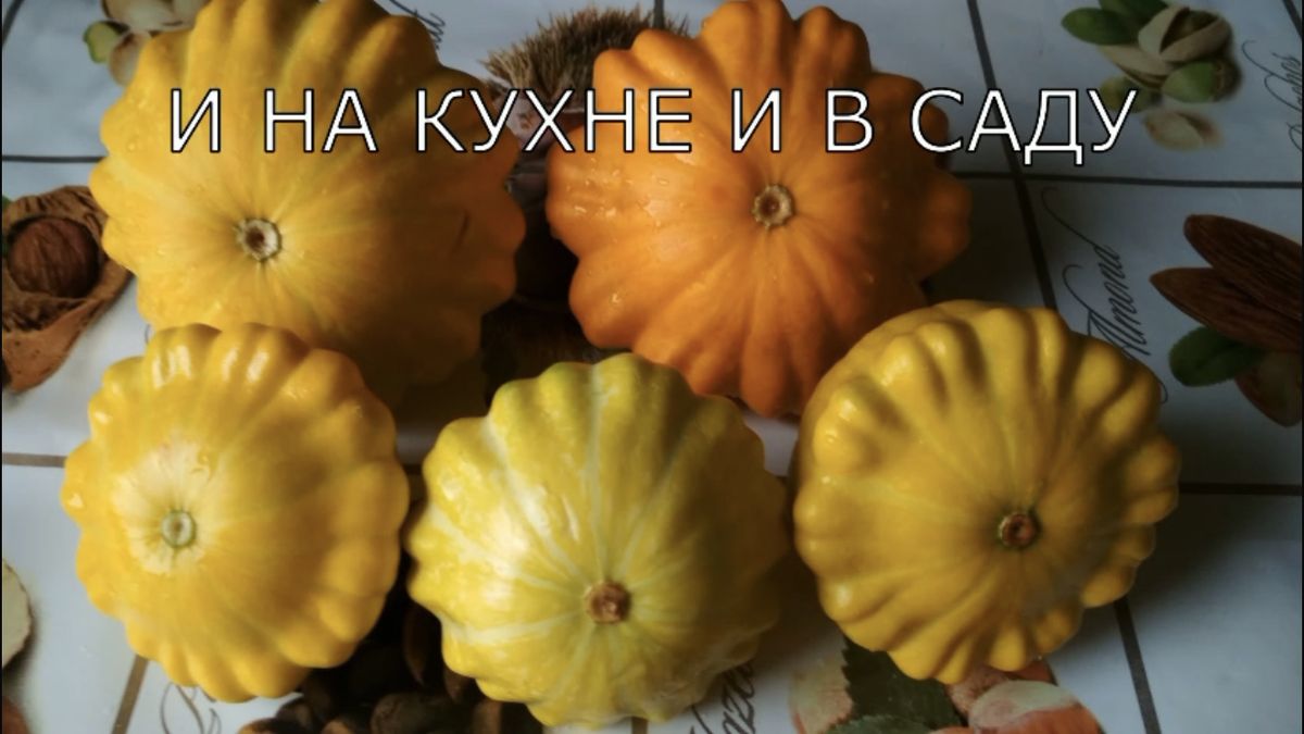 ������������� ��������� � ��������