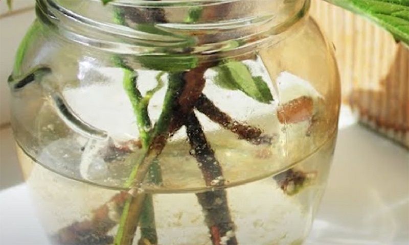 ������ � ������: ������� ��������� ���������� ��������