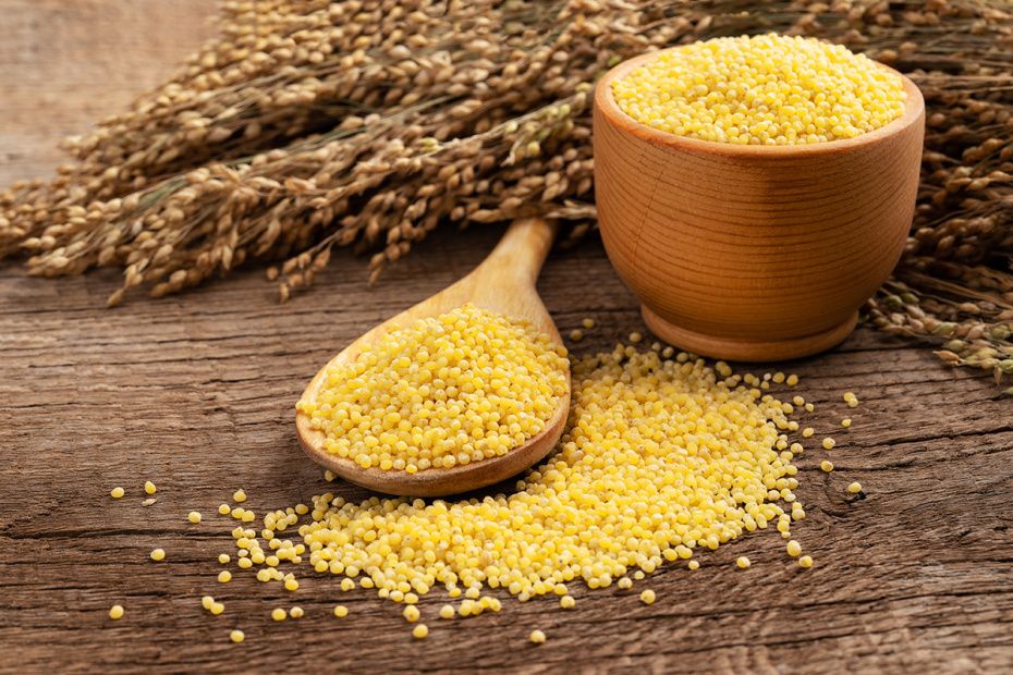 ������ ����� ����������� ����� ������ ������: ��� ����� ����� �����