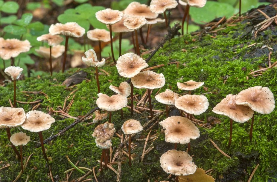 ��������� �������: ������������ ���� � ������������ ��������