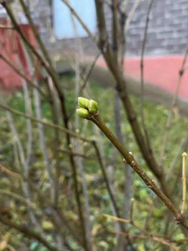 ���� ��� �����: ��� ���������� � �������� � ������������� � ����� �������