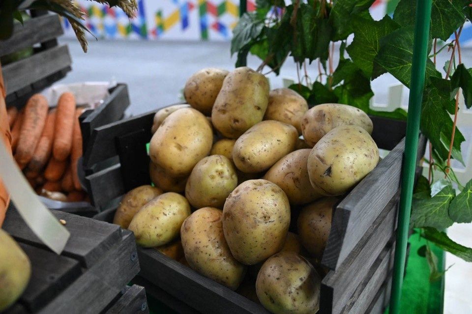 ������� � ����������: � ���������� ������ 2,5 ����� ������� ���