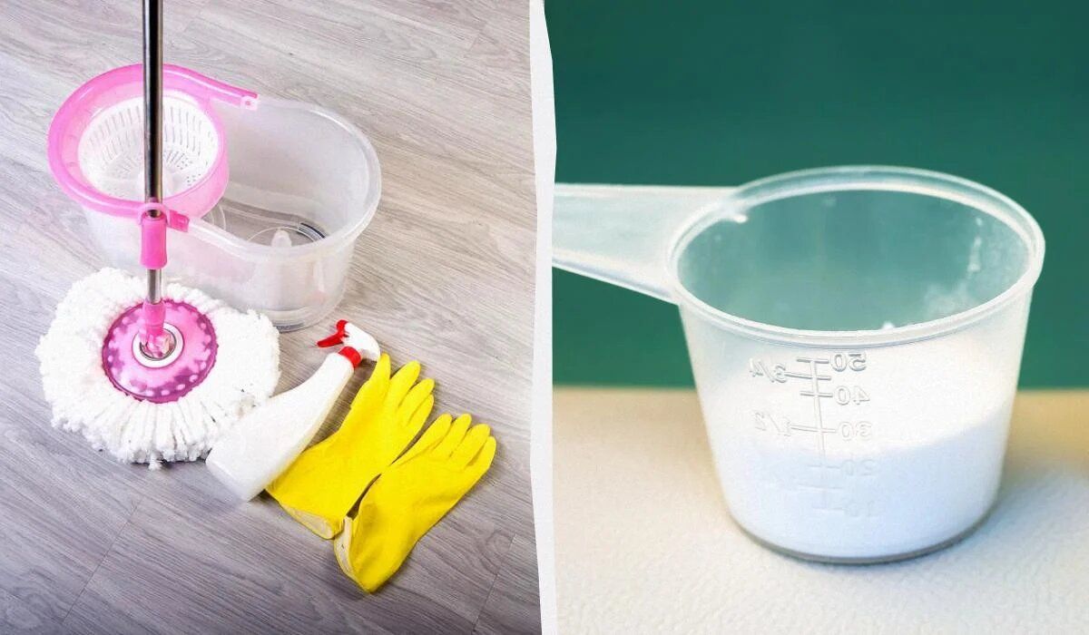 ������� ���������� ������: ��� ������ ������ ���� �������