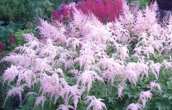 ��������: ��������� ������ ����, ������� ������� ����� ������ ����