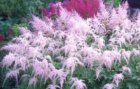 ��������: ��������� ������ ����, ������� ������� ����� ������ ����