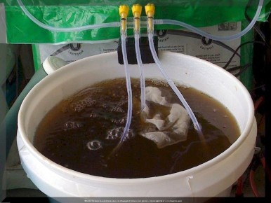 Неочевидные секреты органических удобрений: как получить богатый урожай без химии