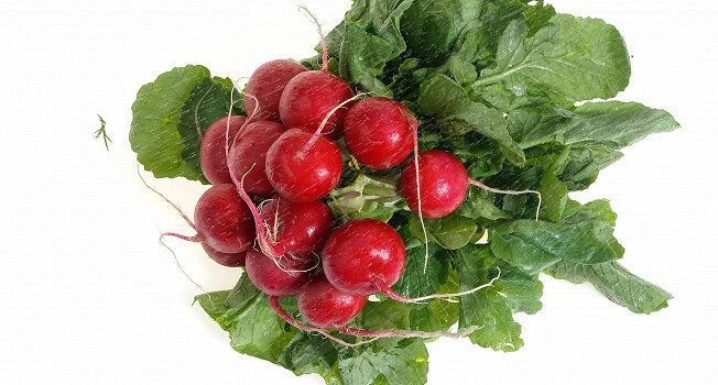 �������: �� �������� �� ���������� �������������