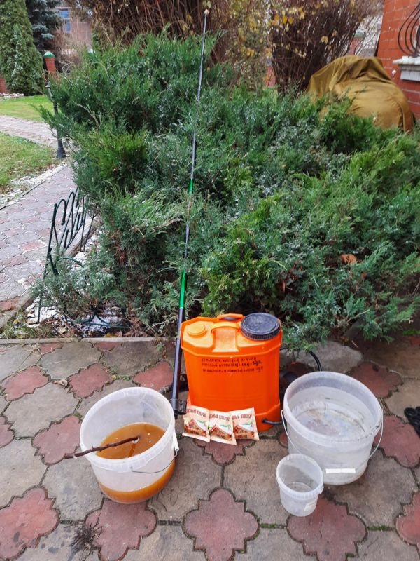 �������� �������������? ��� ��� ������ � ���������� �������� �� ����