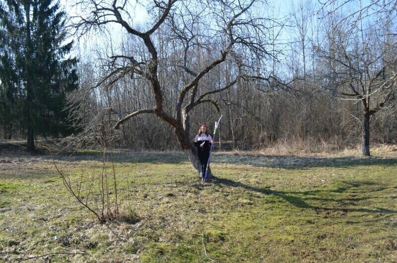 Март: первые шаги весны в саду — что нужно успеть сделать