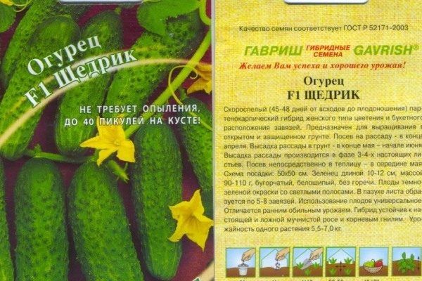 ������ ������ ������ ���� �������� ����� �����������