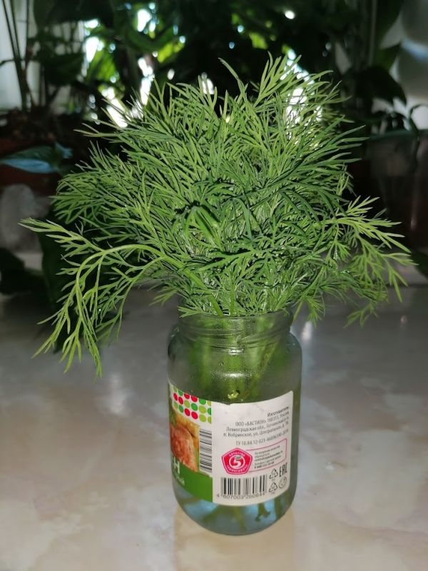 ������� ��������: ��� ��������� �������� �� ������ ������