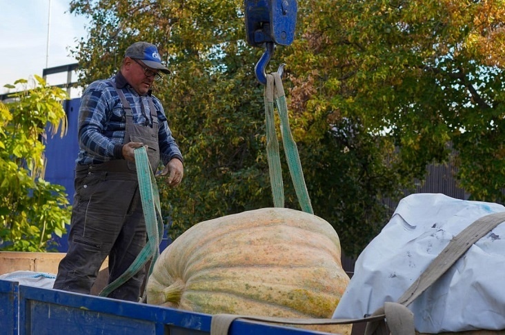 Фермер стал героем ЦПКиО с гигантской тыквой