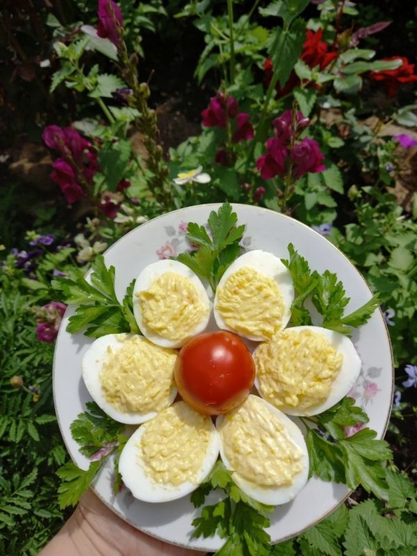 ������������� ����: ��������� ������� ��� �������