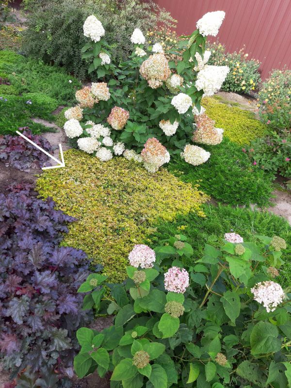 ��������, ������� ������� ��� ��� �� ��������