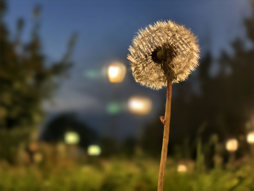 ����� ������� ���� ���������� ��������� ������