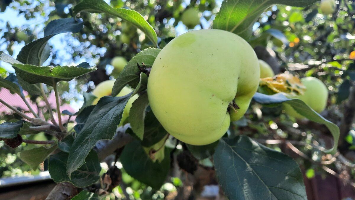 ����� ���������� ����: ��� ������ � ������� ������ ����� ����������� ��������