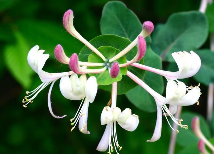 ��� ���������� ��������� ���������� ������� ��� �������? ������� ������