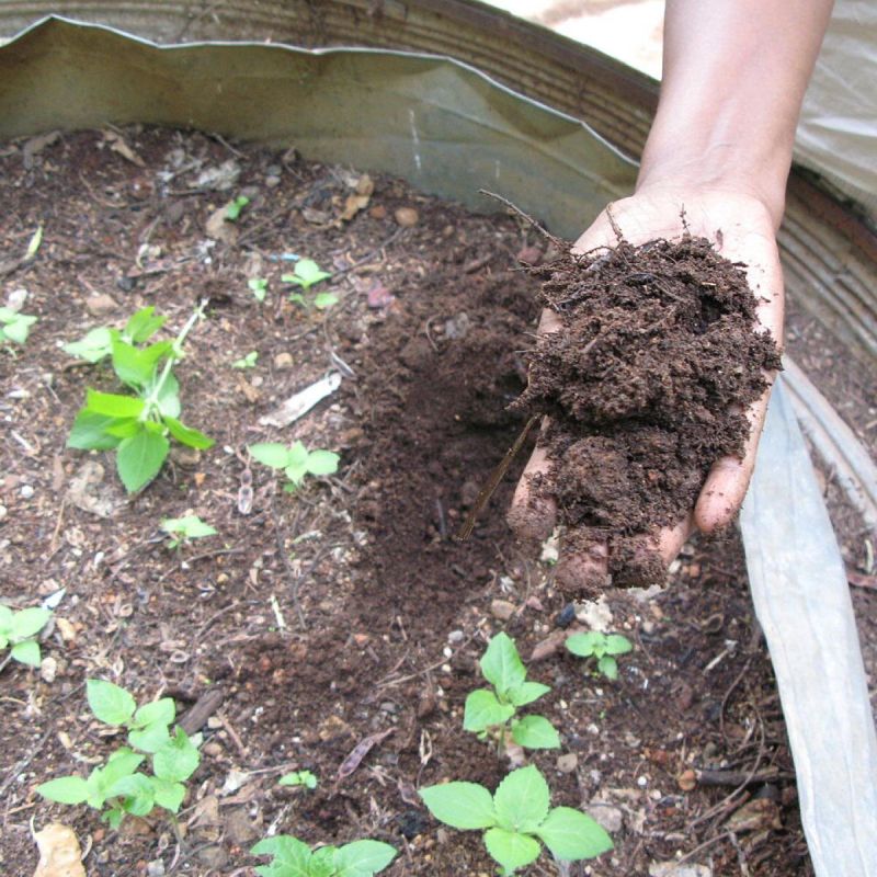 ������ �������: ��� ���������� ������ � ������ ��� �������� ������