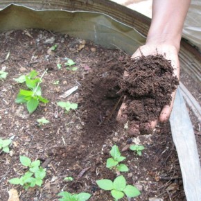 ������ �������: ��� ���������� ������ � ������ ��� �������� ������