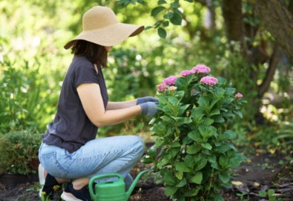 ������� ���� ���: 24 ������������ ���������� ��� ������ �����