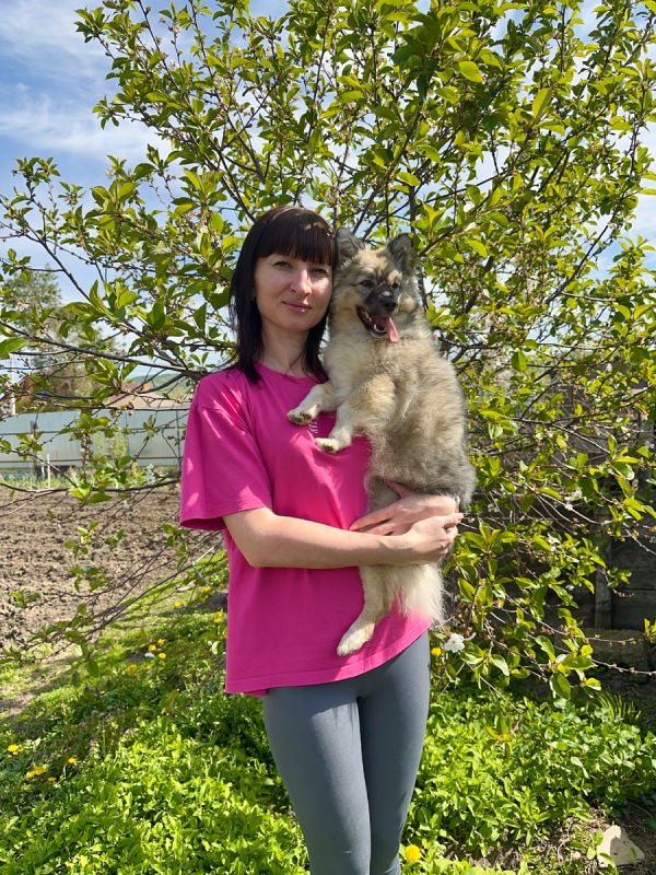 ������� �������� � ������: ��������� ������� ��� ���� �����