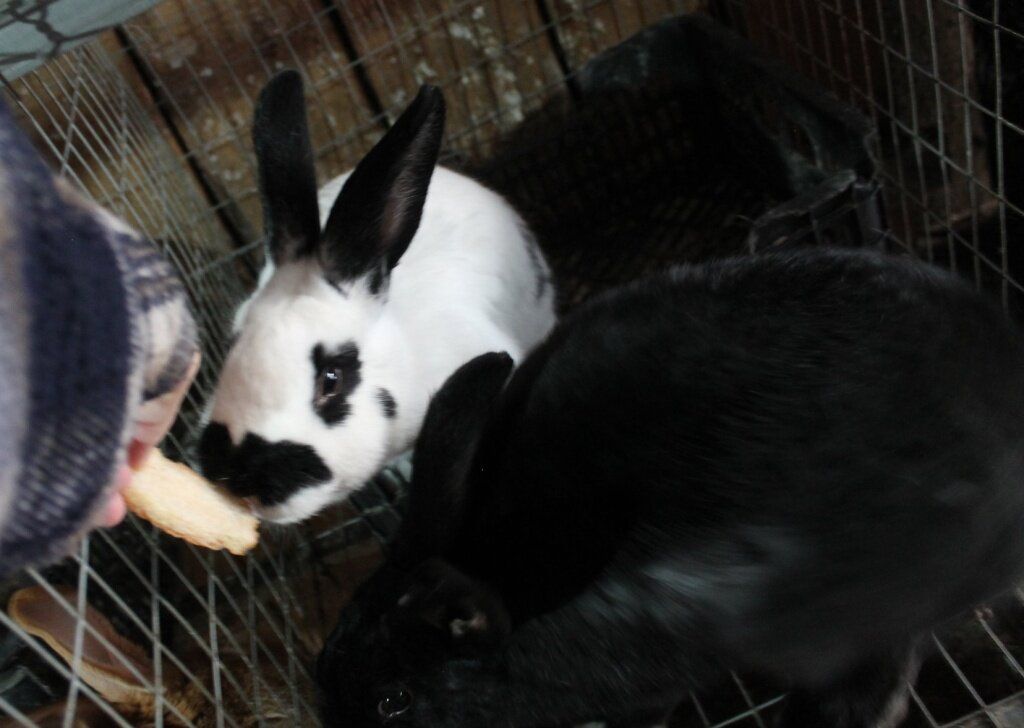 ����� �� ��������� �������� ������: ���� � ����������