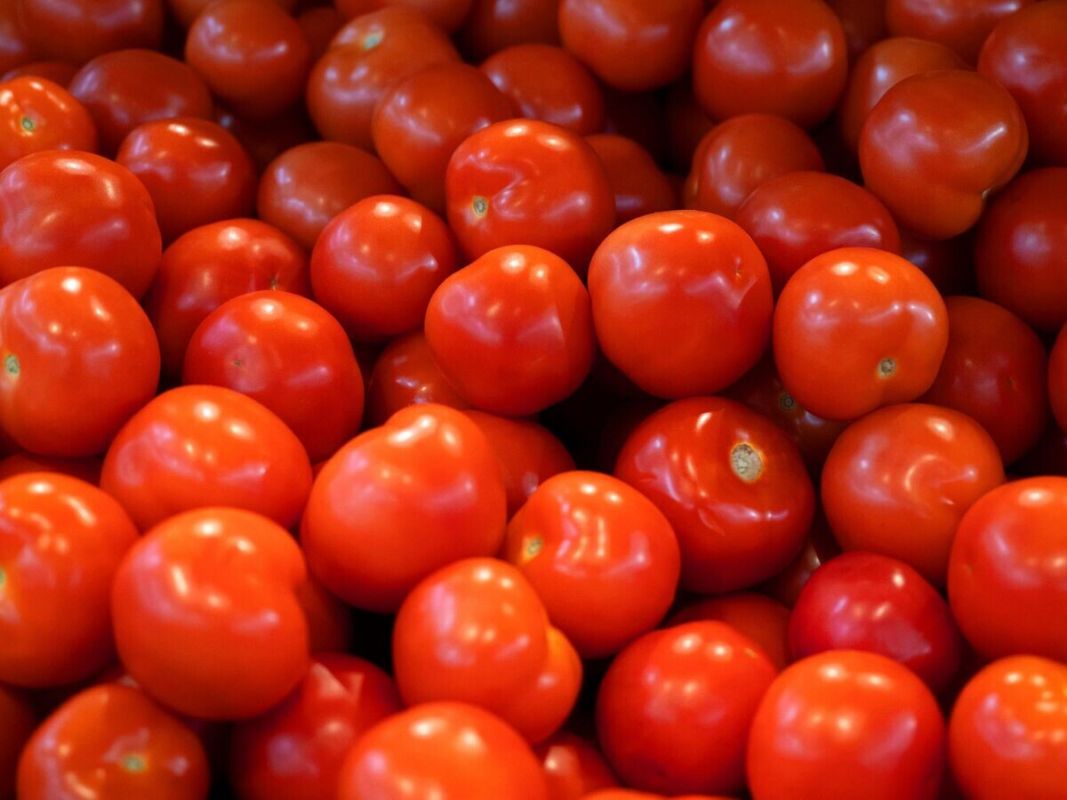 ��� ������ ������ ������� � �������: ������� ������