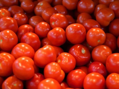 Как спасти урожай томатов в августе: главные советы