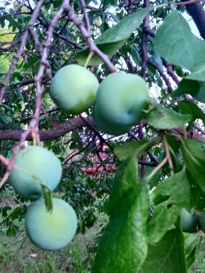 ��� ������� � ��� ��� ������� �����?