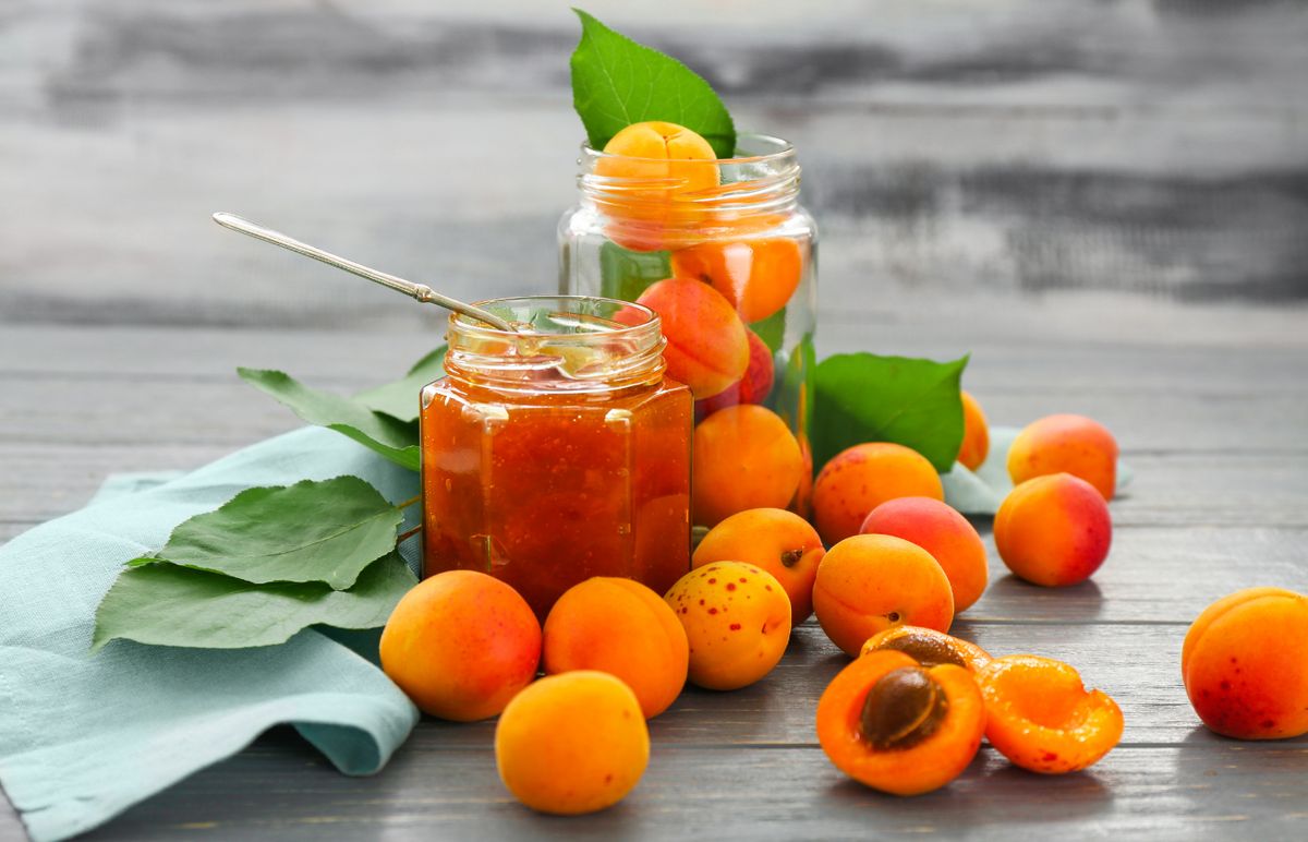 ������� ������������� ���������� ������������ ������� � ����������