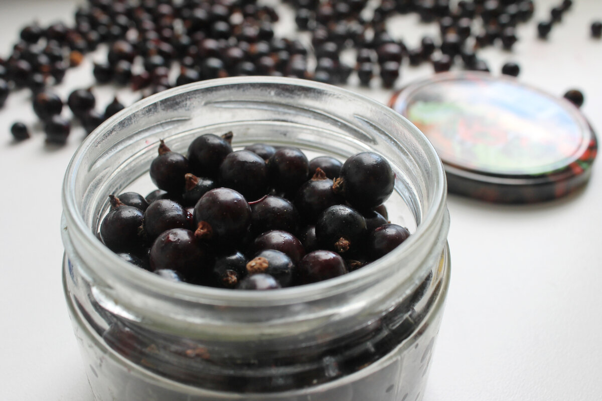 Секреты хранения черной смородины: от варенья до заморозки