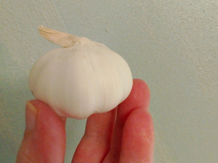 Изумительные свойства чеснока и имбиря: как они помогают суставам