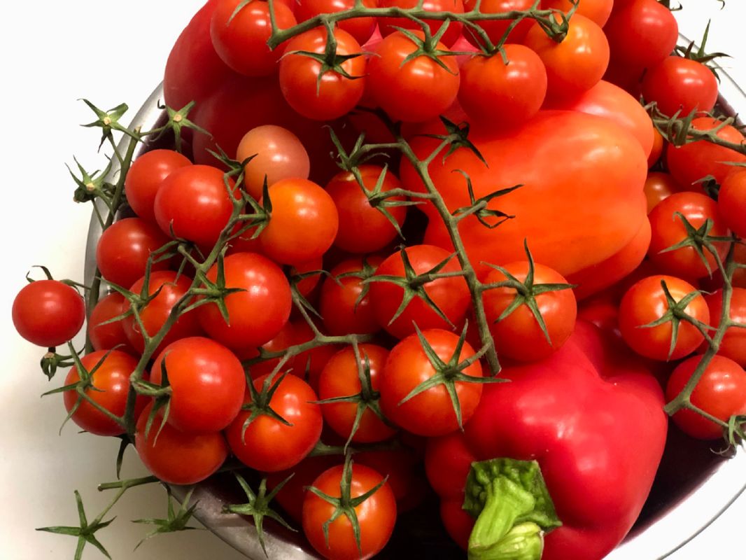 ��� ���� � ���� ���������� ����� � ���������: ������� ���������������� �����