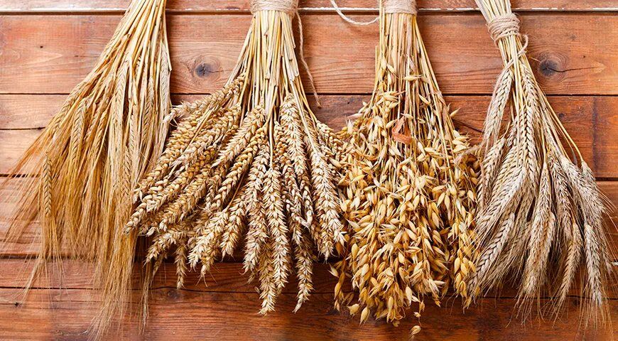 ������ ����� �������� �������� �� ������������� �����?