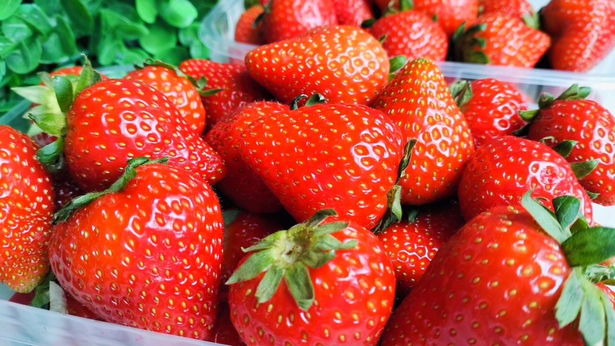 ��� ����������� ���������� ������� �� ���� ����� � ������������ ������ ����