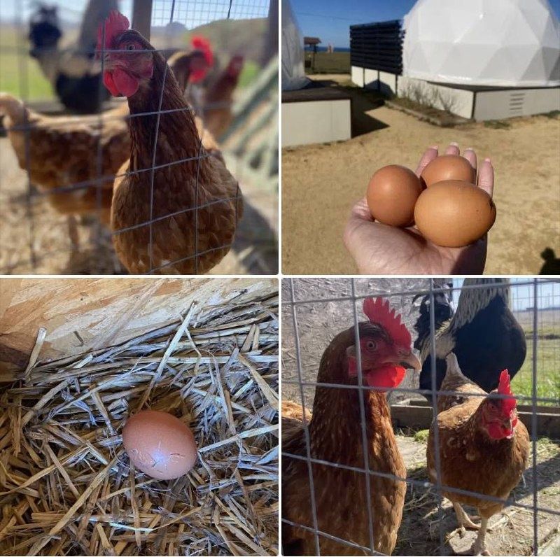 �������� ������� �� ���������� �������: �������� ����������� �� ������ ����