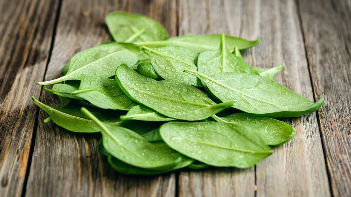 ������: �������� �������� � ������� ��� �������������