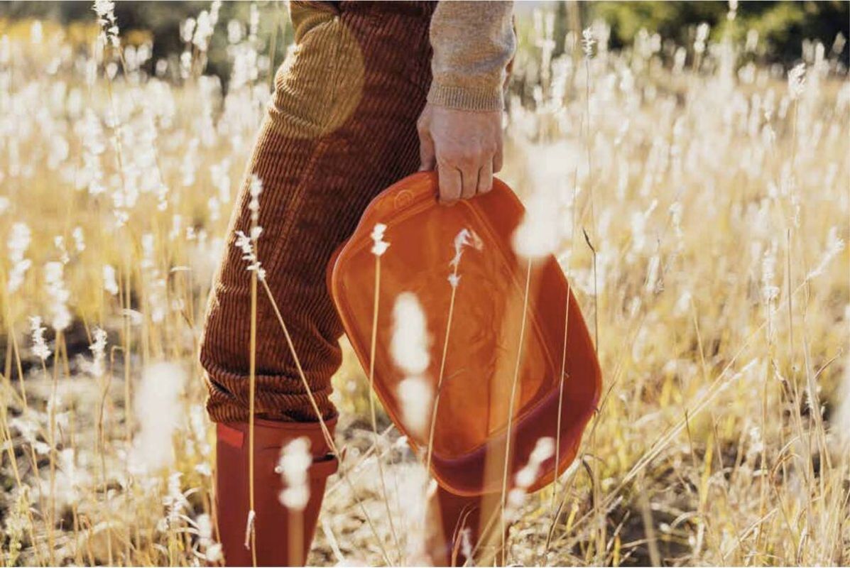 ����� � ����� ��� �������� ������ � ������� ���������