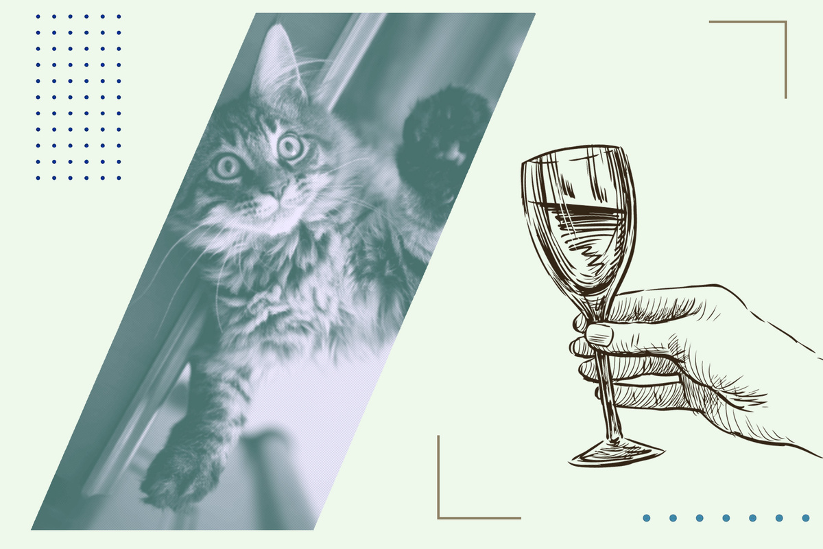 Вино для ваших любимцев: новая мода в мире домашних животных