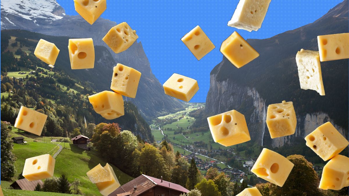 ����� ������������ ����: ������� ������ ���������� � ����������������