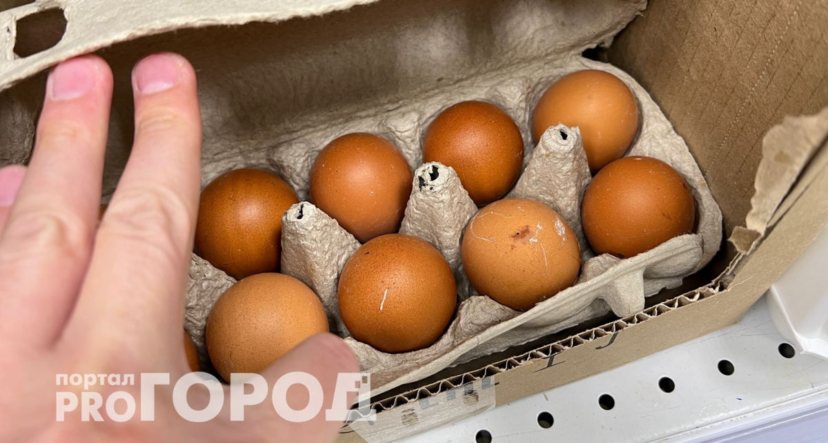 Как выбрать куриные яйца: маленькие или большие – что важнее?