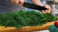 Зеленая закуска на зиму: укроп, кинза и вкусные подробности