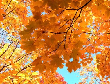 Первый класс: воспоминания о трепетах и волнениях нового начала