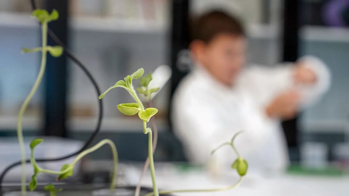 ��������� � ������: ��� �������� ������������ � ����