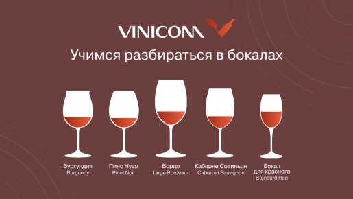 Как правильно выбрать бокал для вина и насладиться ими