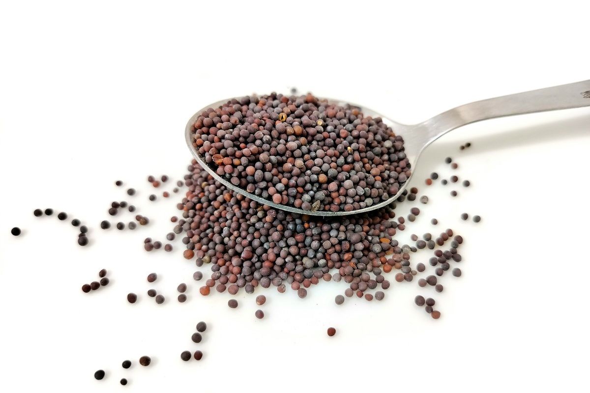 �������� ������: ��������� � �������� �������