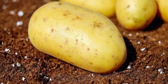 ���������� � �������� ����������� �������� ���������: ��������� � ������ ��������