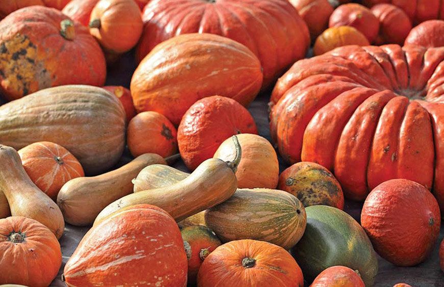 �����: ��������� ���� ��� �������� � ���������